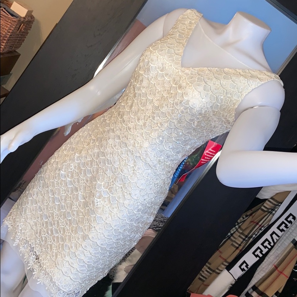 Hailey Adrianna papell ivy lace dress sz 2 fit s